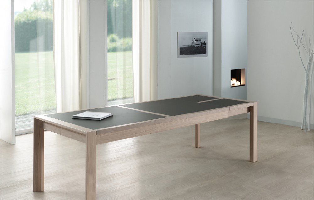 Table rect. 200(350)x100 E8 N°3 verre taupe 1 all. (1)
