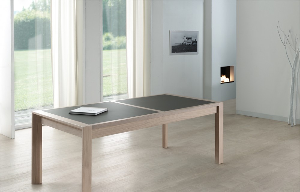 Table rect. 200x100 x077 E8 N°3 verre taupe fermée (1)